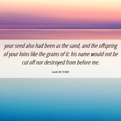 Picture 06 - Isaiah 48:19 WEB - your seed also had been as the sand, and the - Bible Verse Picture