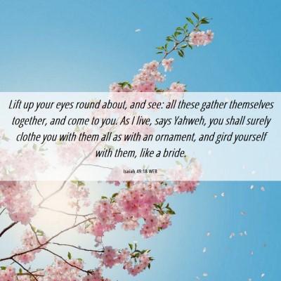 Picture 06 - Isaiah 49:18 WEB - Lift up your eyes round about, and see: all these - Bible Verse Picture