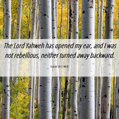 Picture 06 - Isaiah 50:5 WEB - The Lord Yahweh has opened my ear, and I was not - Bible Verse Picture