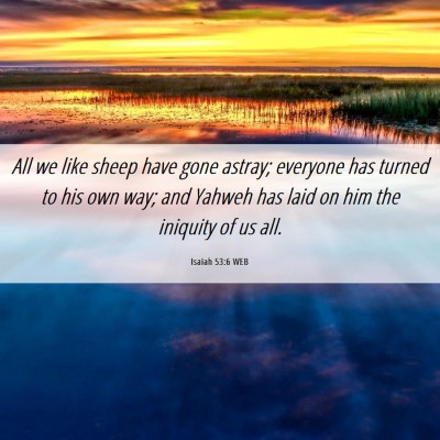 Picture 06 - Isaiah 53:6 WEB - All we like sheep have gone astray; everyone has - Bible Verse Picture