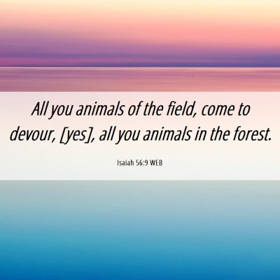 Picture 06 - Isaiah 56:9 WEB - All you animals of the field, come to devour, - Bible Verse Picture