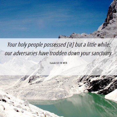 Picture 06 - Isaiah 63:18 WEB - Your holy people possessed [it] but a little - Bible Verse Picture