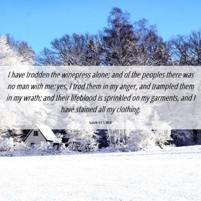 Picture 06 - Isaiah 63:3 WEB - I have trodden the winepress alone; and of the - Bible Verse Picture