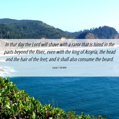 Picture 06 - Isaiah 7:20 WEB - In that day the Lord will shave with a razor that - Bible Verse Picture