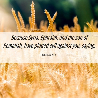 Picture 06 - Isaiah 7:5 WEB - Because Syria, Ephraim, and the son of Remaliah, - Bible Verse Picture