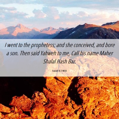 Picture 06 - Isaiah 8:3 WEB - I went to the prophetess; and she conceived, and - Bible Verse Picture