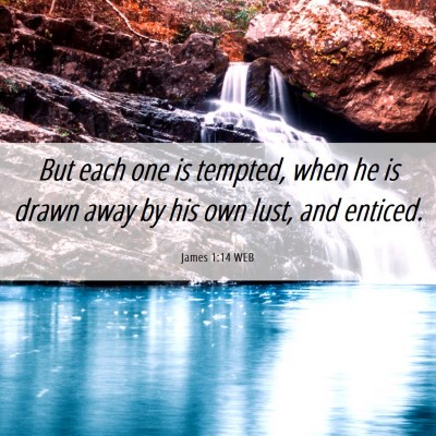 Picture 06 - James 1:14 WEB - But each one is tempted, when he is drawn away by - Bible Verse Picture