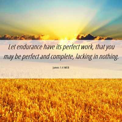 Picture 06 - James 1:4 WEB - Let endurance have its perfect work, that you may - Bible Verse Picture