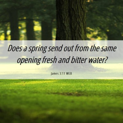 Picture 06 - James 3:11 WEB - Does a spring send out from the same opening - Bible Verse Picture