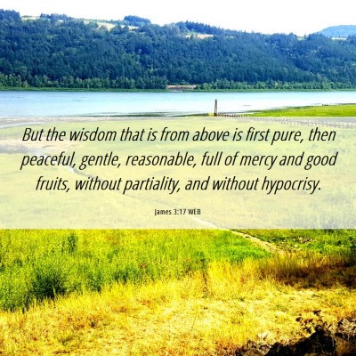 Picture 06 - James 3:17 WEB - But the wisdom that is from above is first pure, - Bible Verse Picture