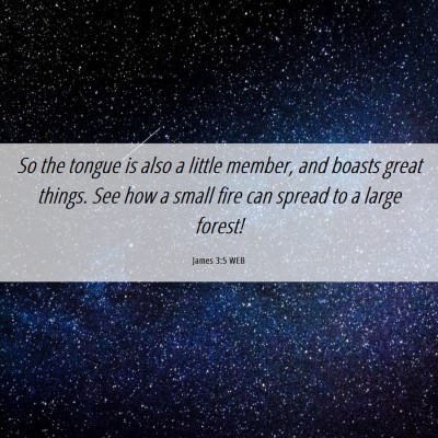 Picture 06 - James 3:5 WEB - So the tongue is also a little member, and boasts - Bible Verse Picture