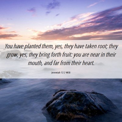 Picture 06 - Jeremiah 12:2 WEB - You have planted them, yes, they have taken root; - Bible Verse Picture