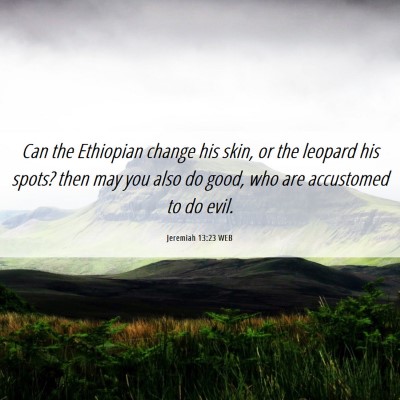 Picture 06 - Jeremiah 13:23 WEB - Can the Ethiopian change his skin, or the leopard - Bible Verse Picture