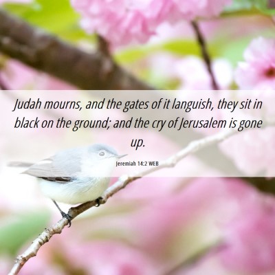Picture 06 - Jeremiah 14:2 WEB - Judah mourns, and the gates of it languish, they - Bible Verse Picture