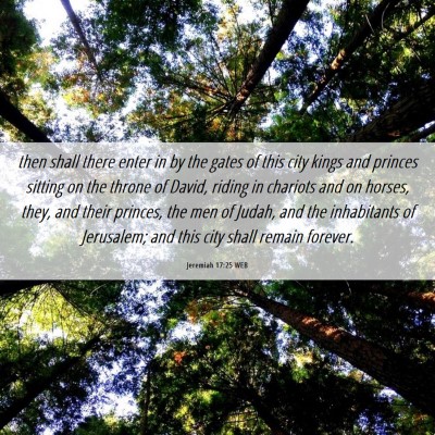 Picture 06 - Jeremiah 17:25 WEB - then shall there enter in by the gates of this - Bible Verse Picture