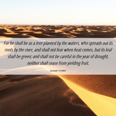 Picture 06 - Jeremiah 17:8 WEB - For he shall be as a tree planted by the waters, - Bible Verse Picture