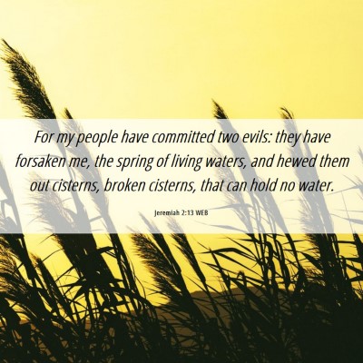 Picture 06 - Jeremiah 2:13 WEB - For my people have committed two evils: they have - Bible Verse Picture
