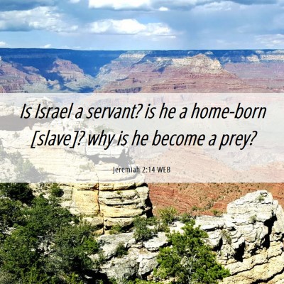 Picture 06 - Jeremiah 2:14 WEB - Is Israel a servant? is he a home-born [slave]? - Bible Verse Picture