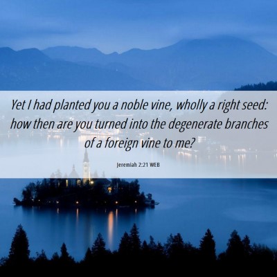 Picture 06 - Jeremiah 2:21 WEB - Yet I had planted you a noble vine, wholly a - Bible Verse Picture