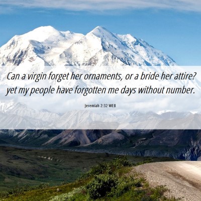 Picture 06 - Jeremiah 2:32 WEB - Can a virgin forget her ornaments, or a bride her - Bible Verse Picture