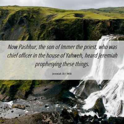 Picture 06 - Jeremiah 20:1 WEB - Now Pashhur, the son of Immer the priest, who was - Bible Verse Picture