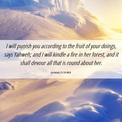 Picture 06 - Jeremiah 21:14 WEB - I will punish you according to the fruit of your - Bible Verse Picture
