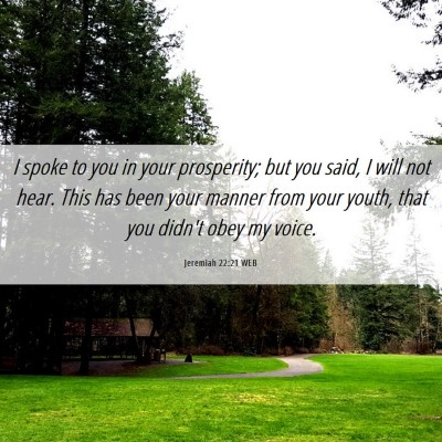 Picture 06 - Jeremiah 22:21 WEB - I spoke to you in your prosperity; but you said, - Bible Verse Picture