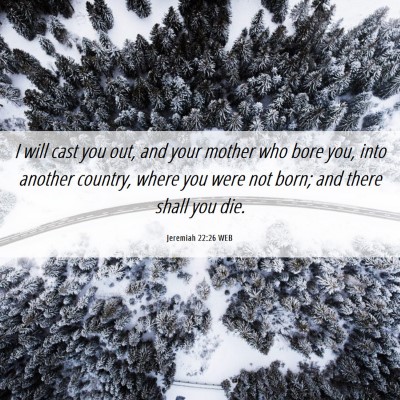 Picture 06 - Jeremiah 22:26 WEB - I will cast you out, and your mother who bore - Bible Verse Picture