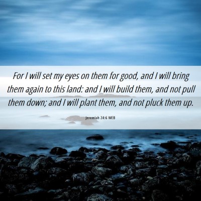 Picture 06 - Jeremiah 24:6 WEB - For I will set my eyes on them for good, and I - Bible Verse Picture