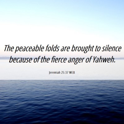 Picture 06 - Jeremiah 25:37 WEB - The peaceable folds are brought to silence - Bible Verse Picture