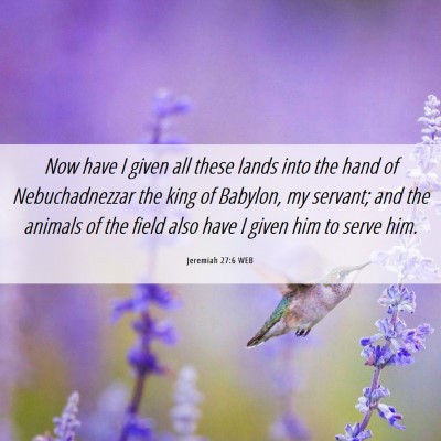 Picture 06 - Jeremiah 27:6 WEB - Now have I given all these lands into the hand of - Bible Verse Picture