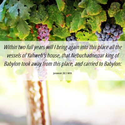 Picture 06 - Jeremiah 28:3 WEB - Within two full years will I bring again into - Bible Verse Picture