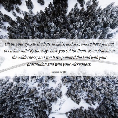 Picture 06 - Jeremiah 3:2 WEB - Lift up your eyes to the bare heights, and see; - Bible Verse Picture