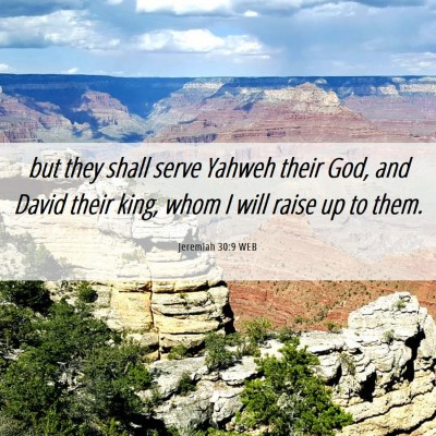Picture 06 - Jeremiah 30:9 WEB - but they shall serve Yahweh their God, and David - Bible Verse Picture