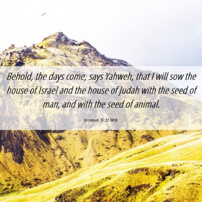 Picture 06 - Jeremiah 31:27 WEB - Behold, the days come, says Yahweh, that I will - Bible Verse Picture
