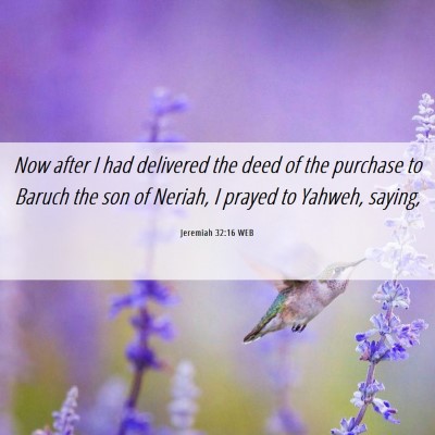 Picture 06 - Jeremiah 32:16 WEB - Now after I had delivered the deed of the - Bible Verse Picture