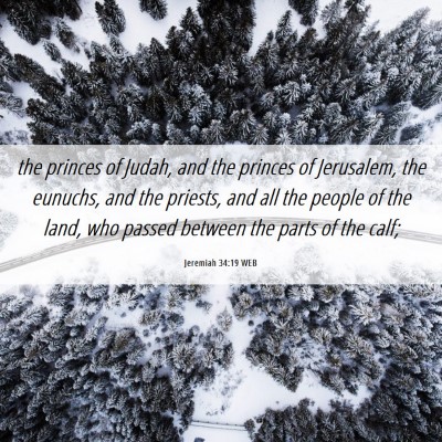 Picture 06 - Jeremiah 34:19 WEB - the princes of Judah, and the princes of - Bible Verse Picture