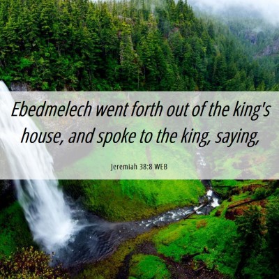 Picture 06 - Jeremiah 38:8 WEB - Ebedmelech went forth out of the king's house, - Bible Verse Picture