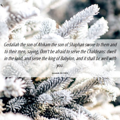 Picture 06 - Jeremiah 40:9 WEB - Gedaliah the son of Ahikam the son of Shaphan - Bible Verse Picture