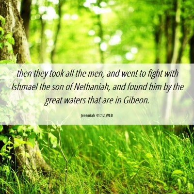 Picture 06 - Jeremiah 41:12 WEB - then they took all the men, and went to fight - Bible Verse Picture
