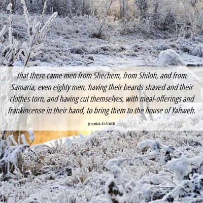 Picture 06 - Jeremiah 41:5 WEB - that there came men from Shechem, from Shiloh, - Bible Verse Picture