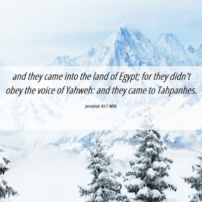 Picture 06 - Jeremiah 43:7 WEB - and they came into the land of Egypt; for they - Bible Verse Picture