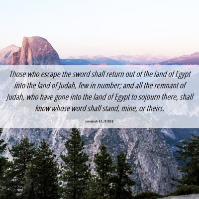 Picture 06 - Jeremiah 44:28 WEB - Those who escape the sword shall return out of - Bible Verse Picture