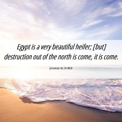 Picture 06 - Jeremiah 46:20 WEB - Egypt is a very beautiful heifer; [but] - Bible Verse Picture