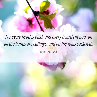 Picture 06 - Jeremiah 48:37 WEB - For every head is bald, and every beard clipped: - Bible Verse Picture