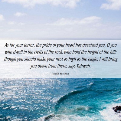 Picture 06 - Jeremiah 49:16 WEB - As for your terror, the pride of your heart has - Bible Verse Picture
