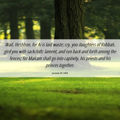 Picture 06 - Jeremiah 49:3 WEB - Wail, Heshbon, for Ai is laid waste; cry, you - Bible Verse Picture