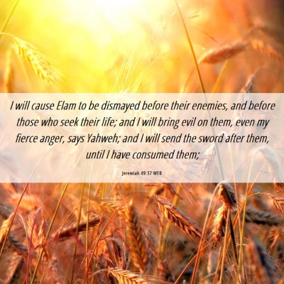 Picture 06 - Jeremiah 49:37 WEB - I will cause Elam to be dismayed before their - Bible Verse Picture