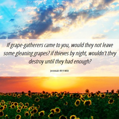 Picture 06 - Jeremiah 49:9 WEB - If grape-gatherers came to you, would they not - Bible Verse Picture