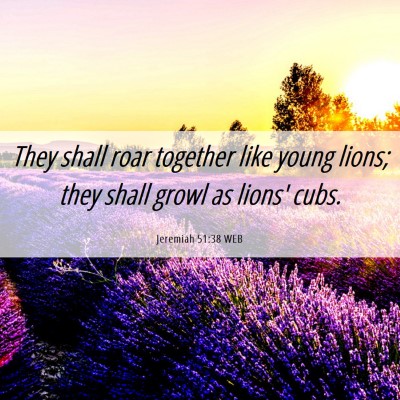 Picture 06 - Jeremiah 51:38 WEB - They shall roar together like young lions; they - Bible Verse Picture